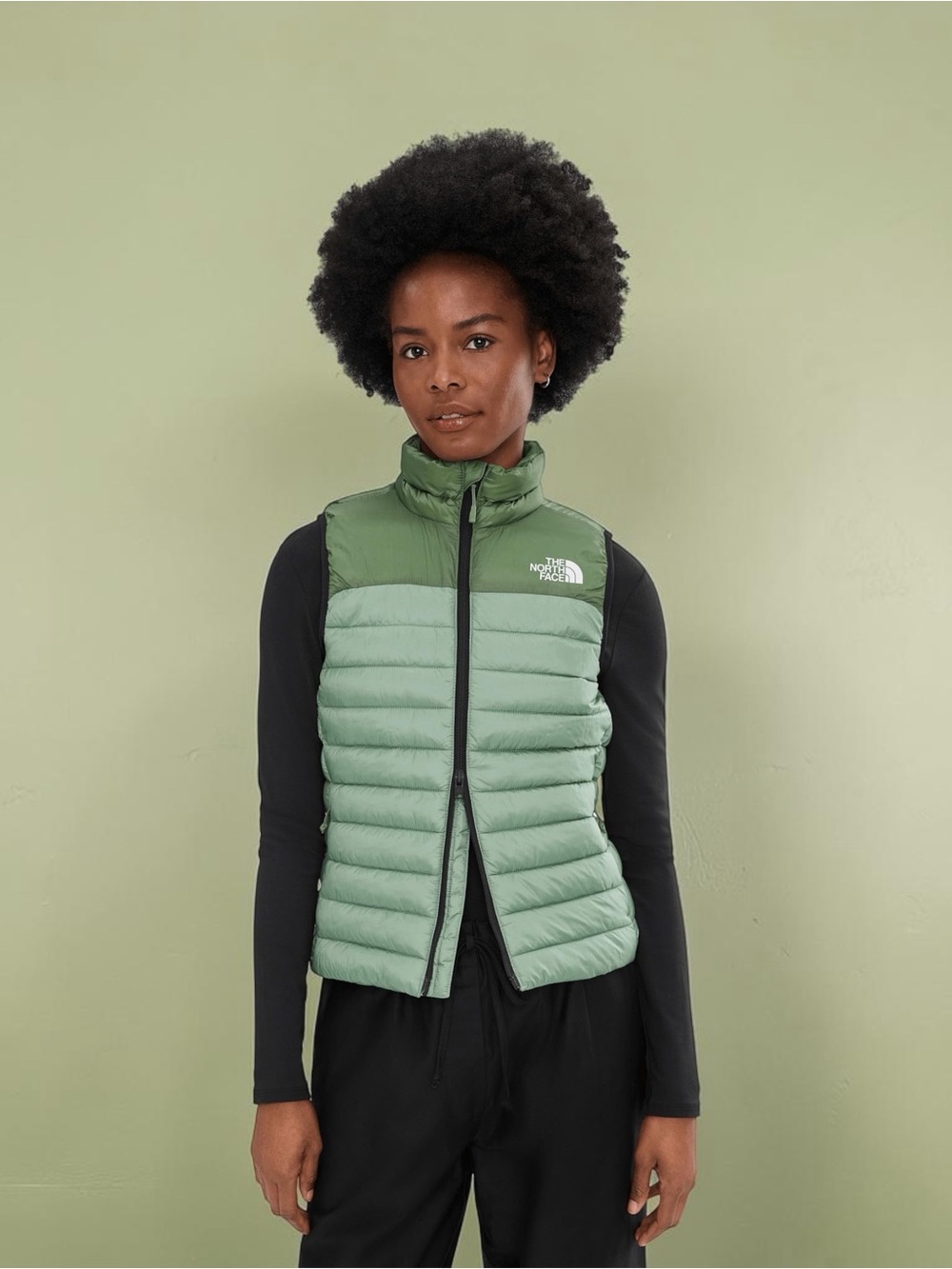 The North Face Women’s Terra Peak Vest US Size Small NWT